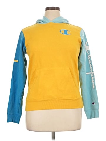 Champion Sweatshirt (view 1)