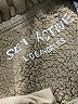 Set Active 100% Cotton Solid Green Khaki Shorts Size S - photo 4