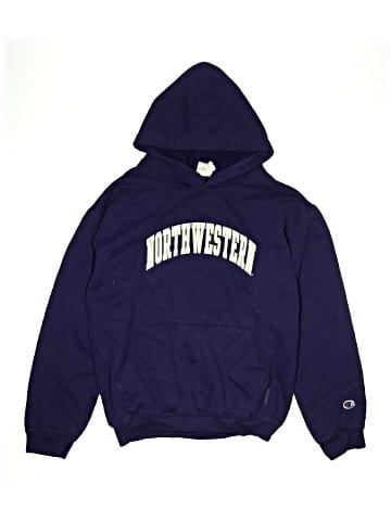 Champion Pullover Hoodie (view 1)