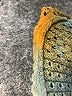 Cynthia Ashby Green Pullover Sweater One size - photo 8