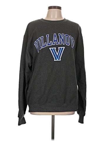Champion Sweatshirt (view 1)