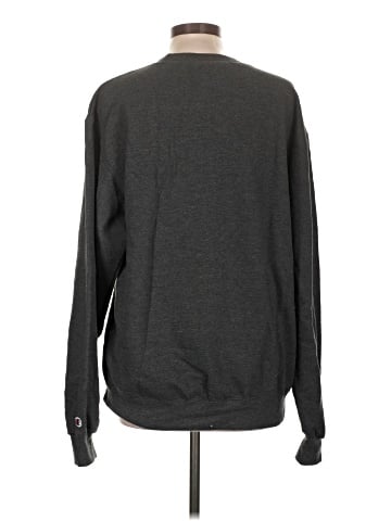 Champion Sweatshirt (view 2)
