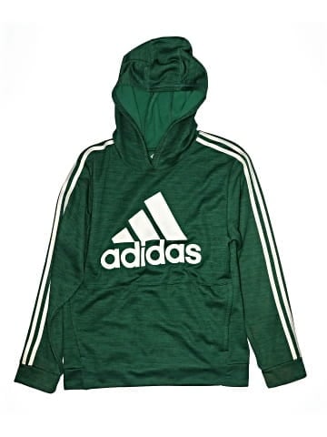 Adidas Pullover Hoodie (view 1)