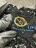 Blue Life 100% Rayon Polka Dots Black Shorts Size S - photo 3