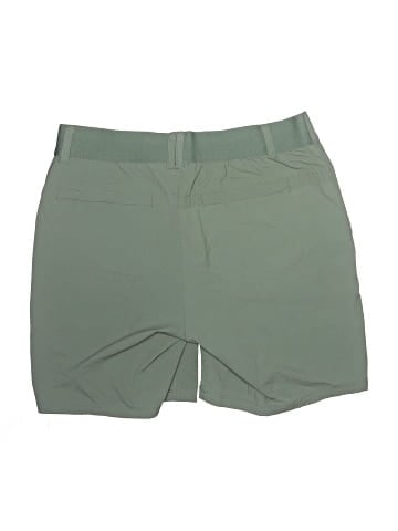 Gerry Khaki Shorts (view 2)