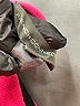 French Connection Stripes Pink Pullover Sweater Size L - photo 8