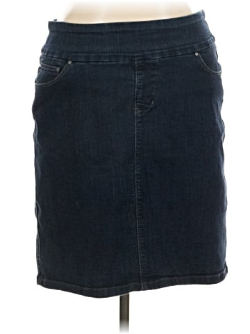 Jag Jeans Denim Skirt (view 1)