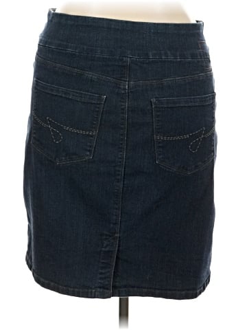 Jag Jeans Denim Skirt (view 2)