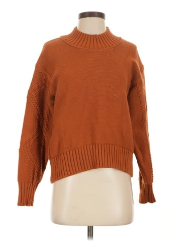 Everlane Turtleneck Sweater (view 1)
