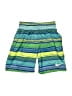 Nike Stripes Blue Green Board Shorts Size 4 - 5 - photo 1
