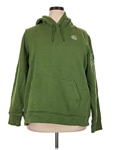 Carhartt Pullover Hoodie (view 1)