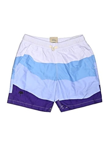 OAS Board Shorts (view 1)