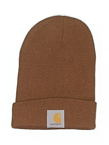 Carhartt Beanie (view 1)