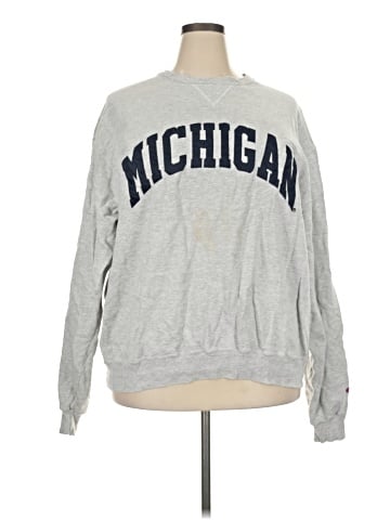 Champion Sweatshirt (view 1)