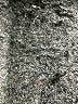 Nordstrom 100% Polyester Black Cardigan Size 14 - photo 4