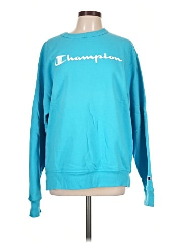 Champion Sweatshirt (view 1)