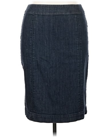 Boden Denim Skirt (view 1)