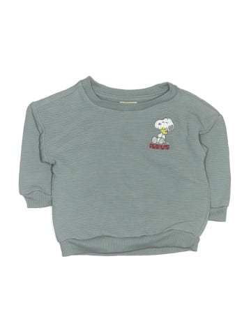 Peanuts Sweatshirt (view 1)