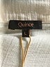Quince 100% Cotton Ivory Short Sleeve Blouse Size L - photo 7