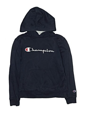 Champion Pullover Hoodie (view 1)