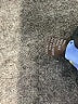 J. McLaughlin 100% Silk Paisley Blue Silk Skirt Size 2 - photo 5