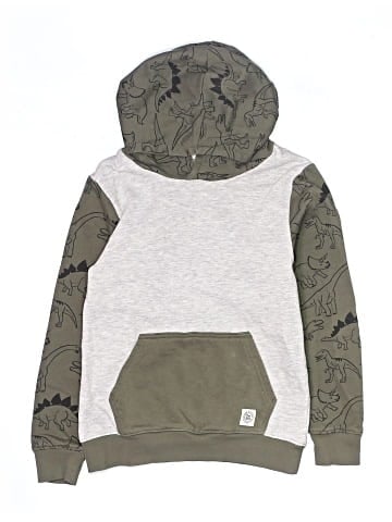 H&M Pullover Hoodie (view 1)