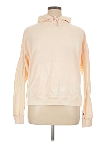 Champion Pullover Hoodie (view 1)