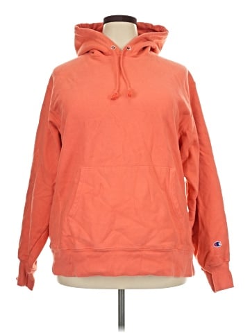 Champion Pullover Hoodie (view 1)