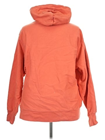 Champion Pullover Hoodie (view 2)