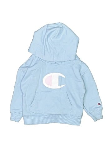 Champion Pullover Hoodie (view 1)