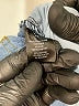 Assorted Brands Blue Jeans Size 12 - photo 4