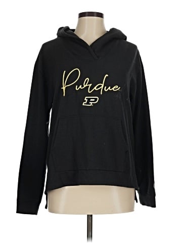 Champion Pullover Hoodie (view 1)