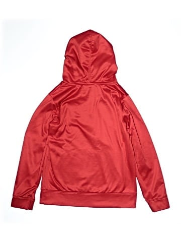 NFL Pullover Hoodie (view 2)