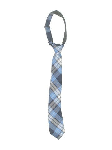 Lands' End Necktie (view 1)