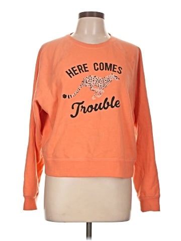 Amuse Society Sweatshirt (view 1)