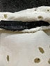 Zara Ivory Jacket Size S - photo 7