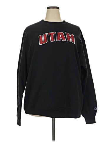 Champion Sweatshirt (view 1)