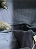 Athleta Solid Blue Athletic Shorts Size 4 - photo 4