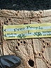 Free People 100% Cotton Tan Tank Top Size L - photo 7