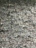 Unbranded Blue Jeans Size 5XL - photo 4