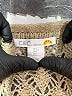 C&C California Tan Pullover Sweater Size L - photo 4