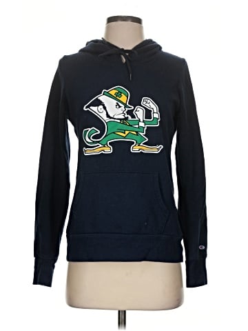 Champion Pullover Hoodie (view 1)
