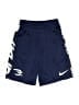 Nike 100% Polyester Graphic Blue Athletic Shorts Size 10 - 12 - photo 1
