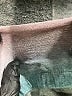 Beyond Yoga Tan Tank Top Size XS - photo 7