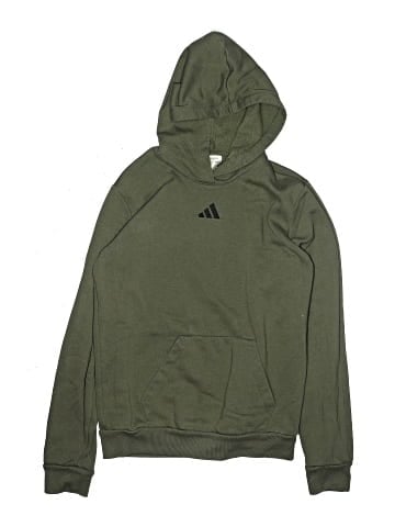 Adidas Pullover Hoodie (view 1)