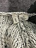 Moth Ivory Cardigan Size S - photo 7