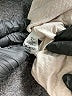 CAbi Ivory Jacket Size M - photo 7