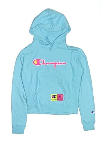 Champion Pullover Hoodie (view 1)