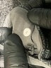 Lululemon Athletica Gray Active Pants Size 6 - photo 8