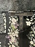 BCBGMAXAZRIA 100% Polyester Stars Black Cocktail Dress Size M - photo 7